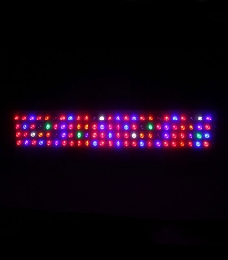 LED Pflanzenlicht, LED Grow light, Pflanzenwachstum, Wachstumslicht, LED Pflanzenstrahler