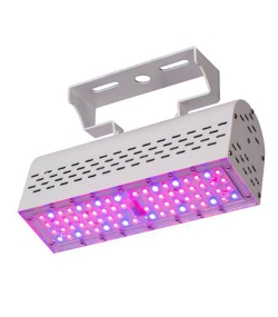 LED Pflanzenlicht, LED Grow light, Pflanzenwachstum, LED Pflanzenstrahler